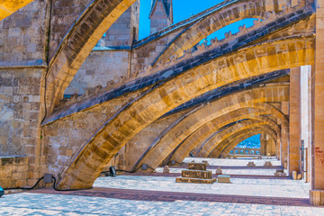 Rooftop of the cathedral in Palma de Mallorca, Spain © dudlajzov