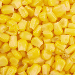 Surface coated with the canned corn