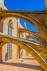 Rooftop of the cathedral in Palma de Mallorca, Spain © dudlajzov