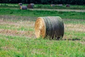 Bale of hay 
