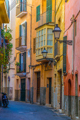 View of a narrow street in the historical center of Palma de Mallorca, Spain © dudlajzov