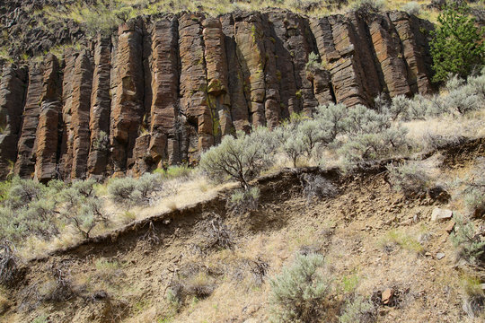 Basalt columnar cliffs of Picture Gorge