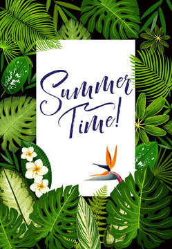 Summer banner with tropical palm and exotic flower