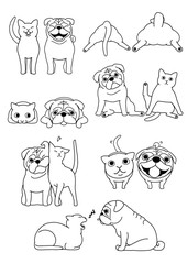 set of cat and dog pairs