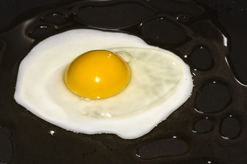 Sunny side up egg