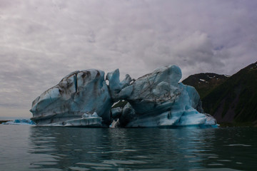 Glaciers in kenai fyords national park