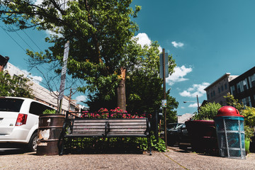 Lonely City Bench with flowers and blue sky
