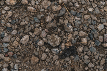Rocky Ground Close Up