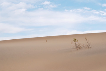 Fototapeta na wymiar Desert background with blue cloude sky
