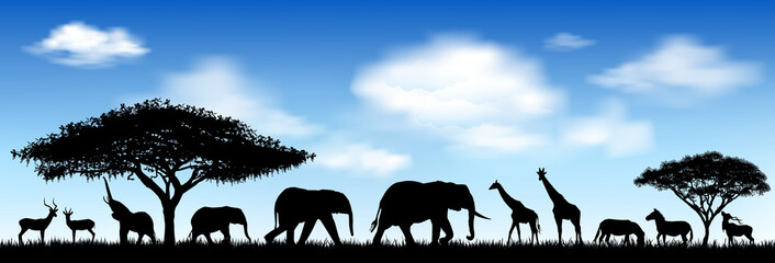 Fototapeta premium African animals, savanna. Silhouettes of wild animals of the African savannah