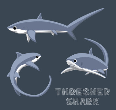 Thresher Shark Cartoon Vector Illustration