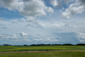 Farm land north of Churchbridge, Eastern Saskatchewan, Canada.