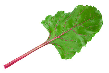 Beet root closeup leaf