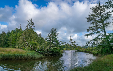 Obraz premium Johns River