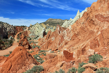 Cottonwood Canyon road - Utah