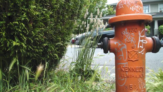 Fire hydrant in neighborhood