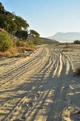 Naklejka premium morning on sandy beach road in tropical Baja, Mexico