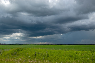 Approaching storm clouds above a canola field, Saskatchewan, Canada.