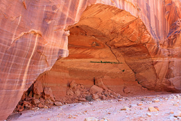 The Alcove, Utah
