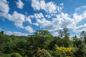 Landschaft im Sommer