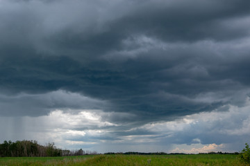 Approaching storm clouds above a canola field, Saskatchewan, Canada.