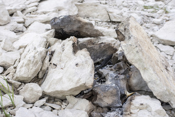 remains of old campfire at lake amistad