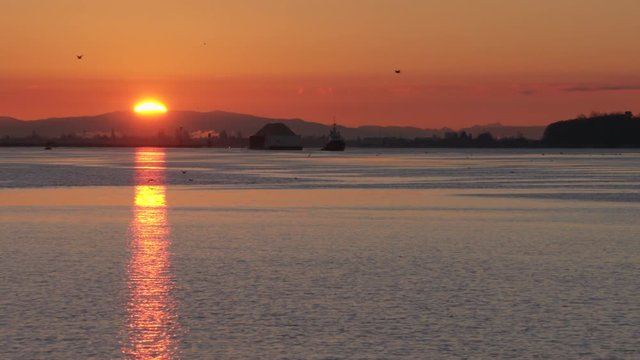 Fraser River Sunrise 4K UHD slow motion. A tugboat towing a barge on the Fraser River near Steveston at sunrise. Vancouver, British Columbia, Canada. 4K. UHD. Slow motion.
