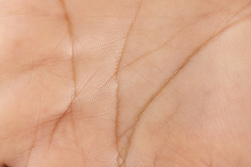 Skin on human hand palm