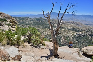 Hiker on top of Mount Lemmon Arizona Tucson Scenic Desert Sky Island