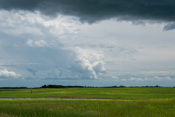 Obraz na płótnie Canvas Farm land and canola crops, Saskatchewan, Canada.