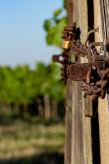 Verschlossener Geräteschuppen im Weinberg mit einer Detailaufnahme des Schlosses