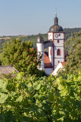 Dettelbach, eine fränkische Stadt in Bayern mit einer für die Region typischen Kirche. Der Ort ist umgeben von Weinbergen und liegt direkt am Main