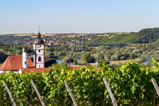 Blick in die Landschaft mit Kirche, Main und Weinbergen von der Dettelbacher Sonnenleite aus. Im Hintergrund sieht man Mainstockheim.