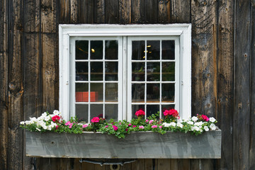 Fototapeta na wymiar close up on window decorated with flowerbox and flower