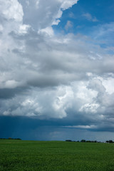 Farm land and canola crops, Saskatchewan, Canada.