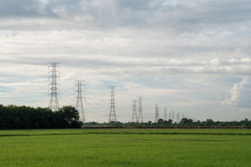 Electric transmission line