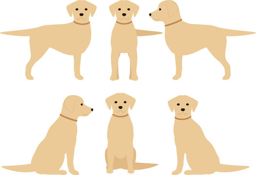 1 377 Best ラブラドール Images Stock Photos Vectors Adobe Stock 1 377 Best ラブラドール Images Stock Photos Vectors Adobe Stock
