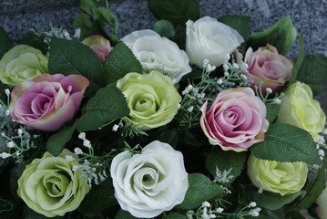 SONY DSC