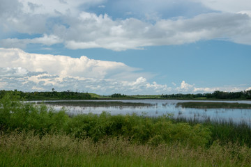 Marsh land in Saskatchewan, Canada.