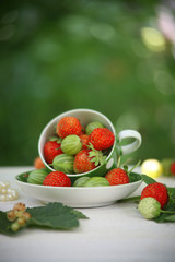 Cup with green background