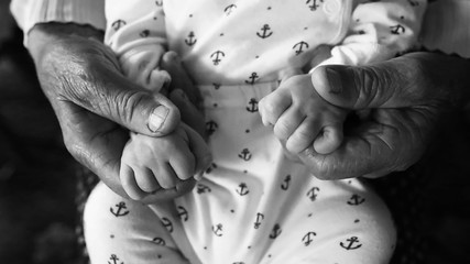 old grandmother hands holding newborn hands, fourth generation family life. black and white shot,...