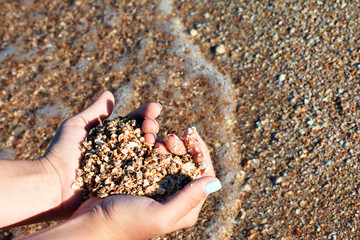 Small shells in the hands of the girl on the sea