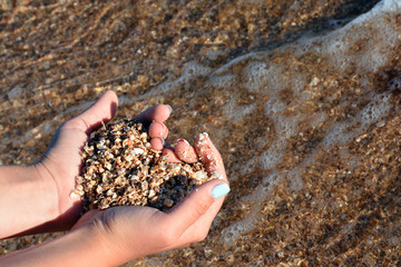 Small shells in the hands of the girl on the sea