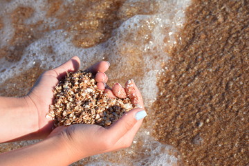 Small shells in the hands of the girl on the sea