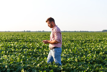Young farmer walking in filed holding tablet in his hands and examining soybean corp.