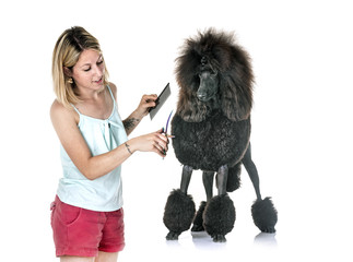 black standard poodle and woman