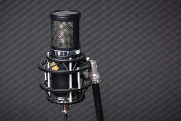 Professional condenser studio microphone.