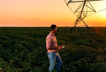 Young farmer holding tablet in his hands and adjusts irrigation system on soybean field at sunset.