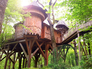 beautiful wood house on top the tree - 211878544