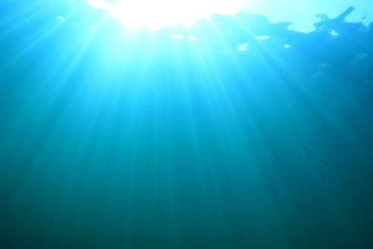 Fototapeta Underwater ocean background 